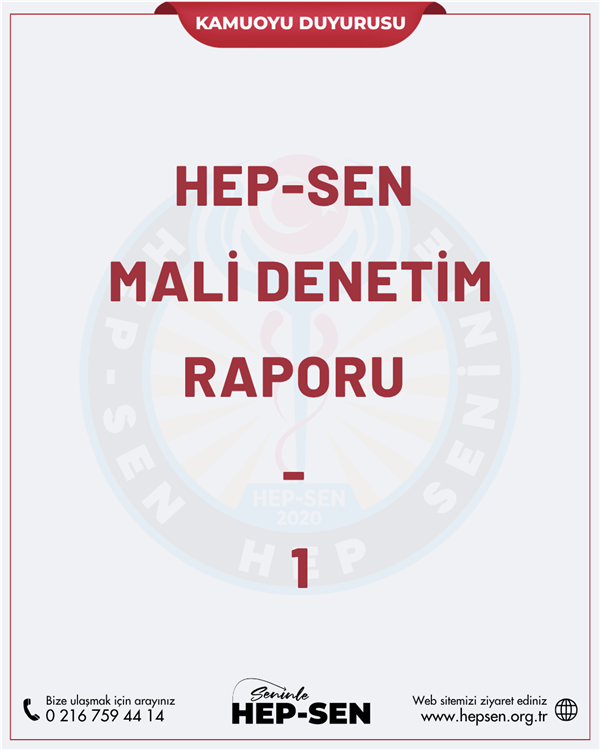 Hep-Sen Mali Denetim Raporu - 1